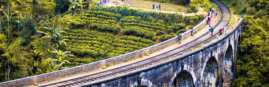 Photograph of railway viaduct and green fields in Sri Lanka