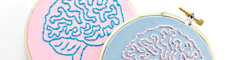 hoop embroidery of anatomical brains