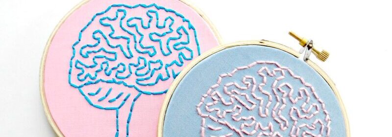 hoop embroidery of anatomical brains