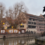 Image of houses in Strasbourg on the side of a canal